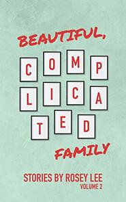 Beautiful, Complicated Family: Volume 2 by Rosey Lee