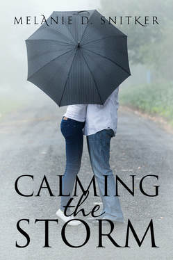 FREE Book - Calming the Storm