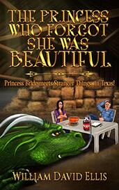 The Princess Who Forgot She Was Beautiful by William David Ellis