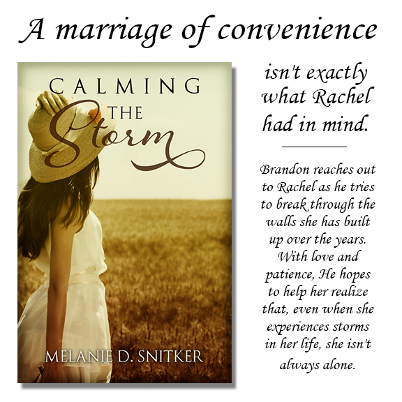 Calming the Storm by Melanie D. Snitker - the new cover image is live! 
