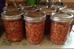 Recipe - Homemade Refried Beans - Slow Cooker and Canned - www.melaniedsnitker.com