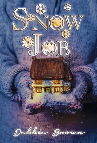 Snow Job by Debbie Brown
