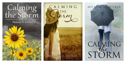 Calming the Storm Covers - Melanie D. Snitker