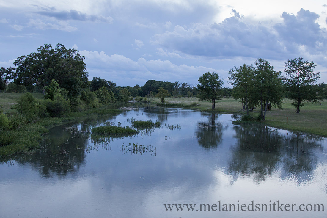 Photography: Beauty in the Texas Hill Country - Photos by Melanie D. Snitker
