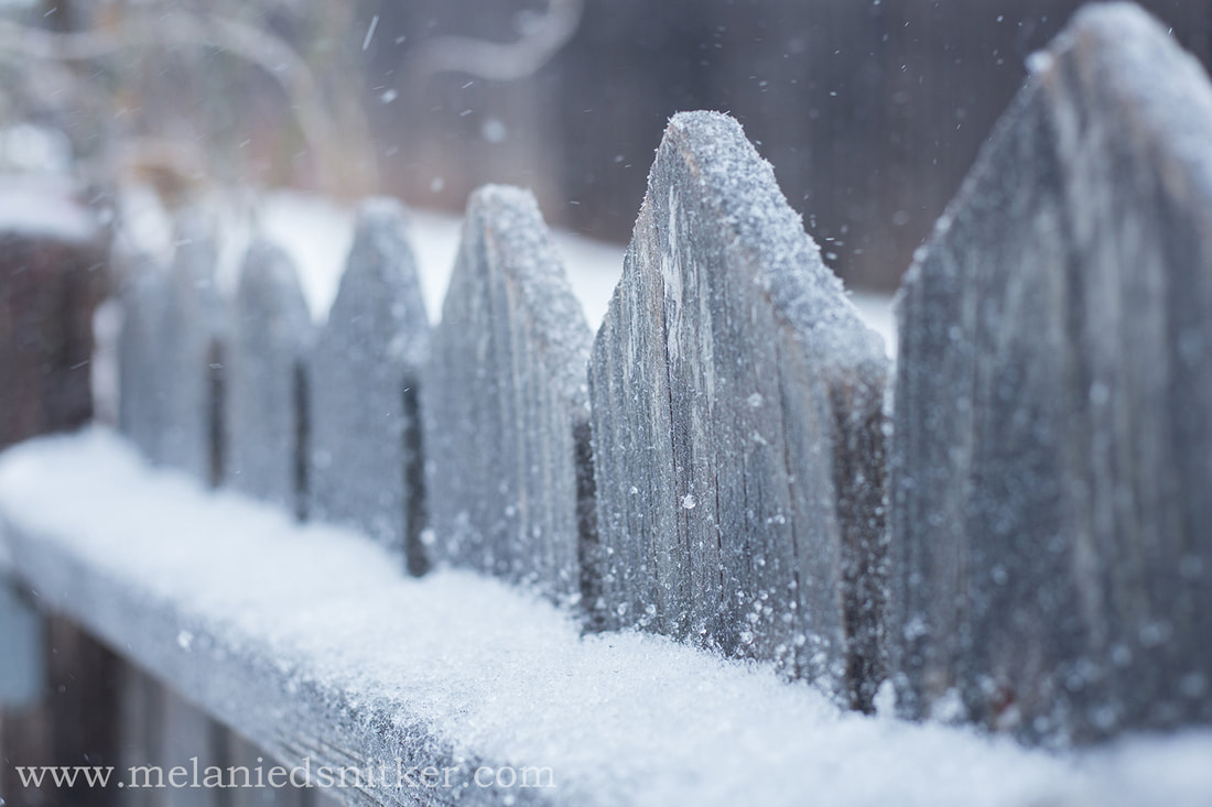 Freezing Rain, Sleet, and Thunder? Oh, My! by Melanie D. Snitker