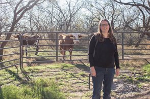 Chatting with the longhorns at Whining Bull Ranch - Melanie D. Snitker