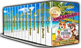 Summer Snoops Unleashed by Various Authors
